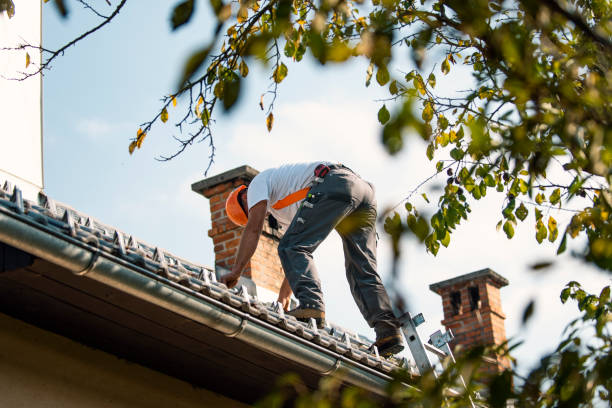 Best Flat Roof Repair Services  in Teutopolis, IL